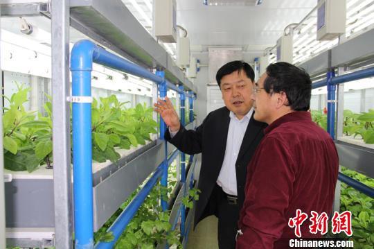 新疆昌吉国家农业科技园区闭锁式植物工厂现代农业新技术吸引关注.