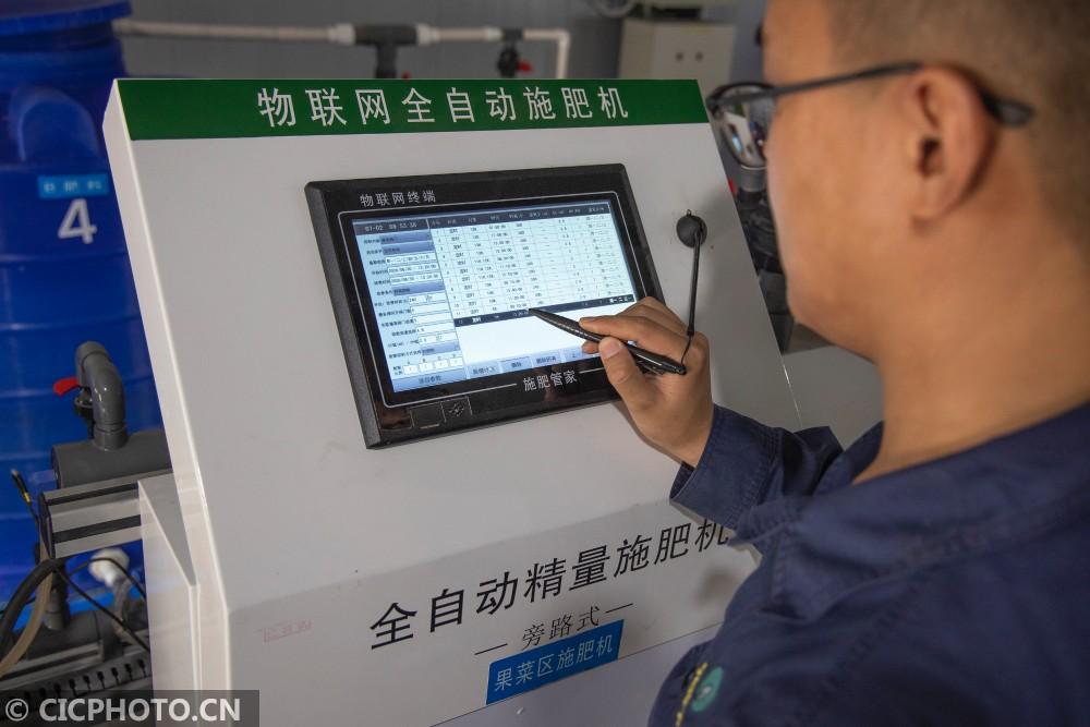 2020年7月2日,技术员在江苏省镇江市宝华镇一农业科技示范园查看